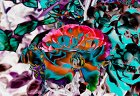 Expressionist Flowers  Rose #1404